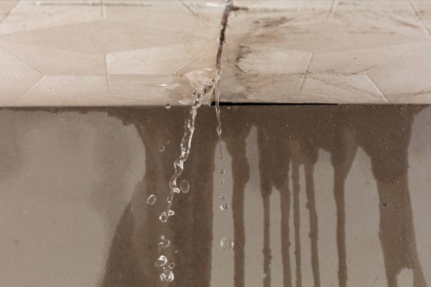 Professional Water Damage Repair technician working in Camp Hill, AL